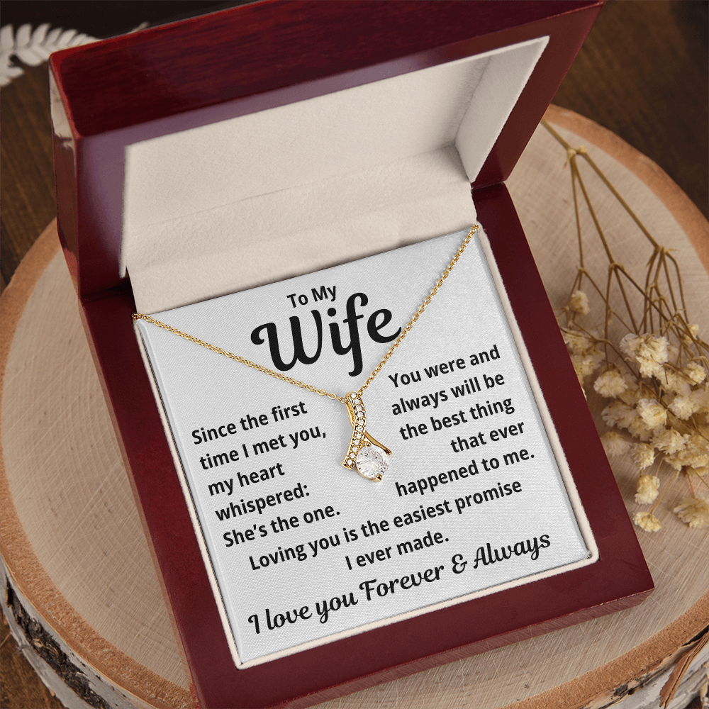 To My wife, Loving you is the Easiest Promise, Necklace