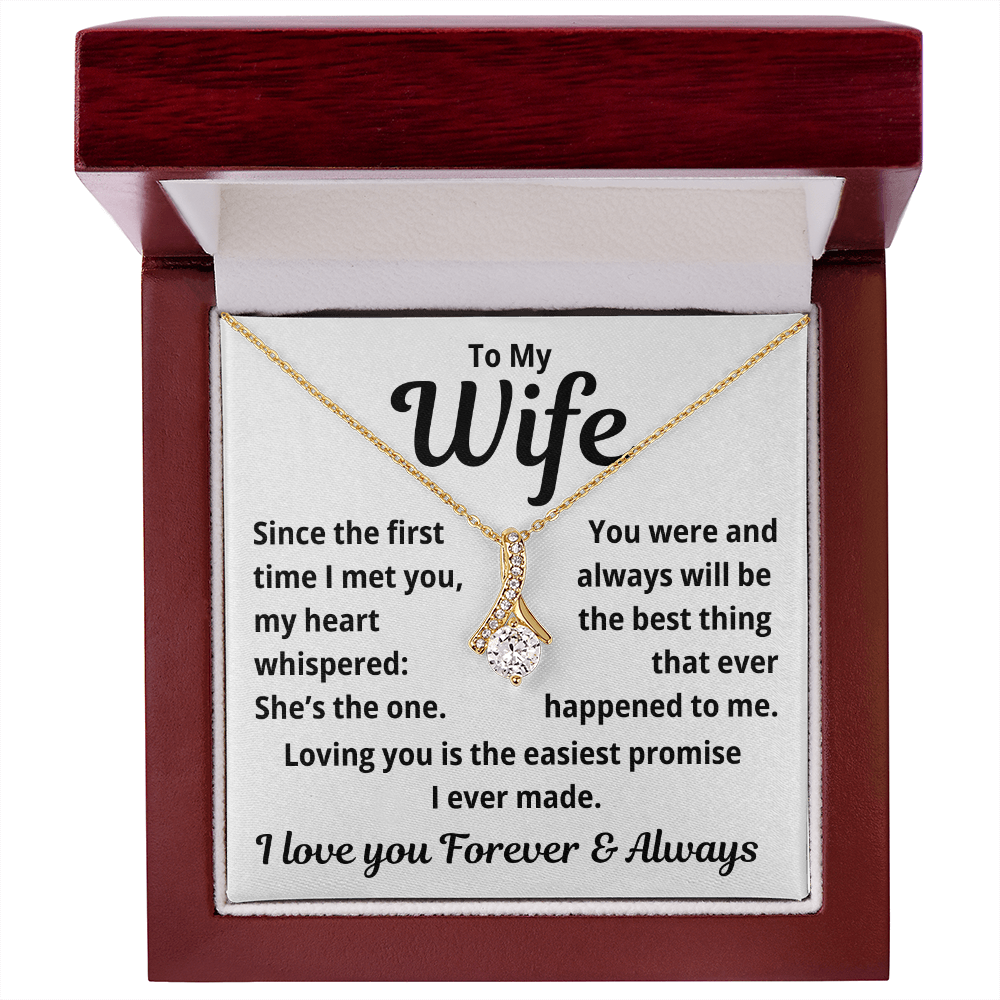 To My wife, Loving you is the Easiest Promise, Necklace