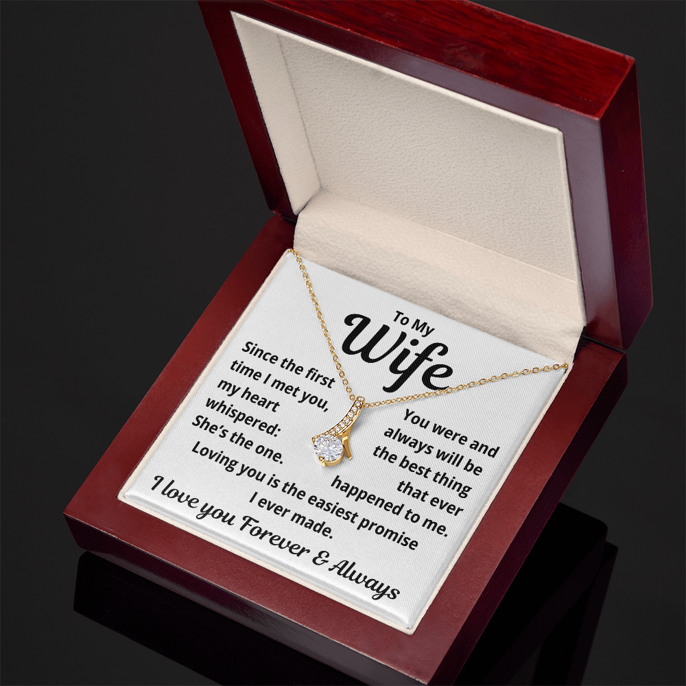 To My wife, Loving you is the Easiest Promise, Necklace
